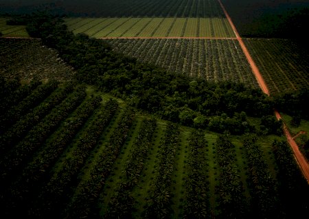 CNA discute regularização fundiária no campo