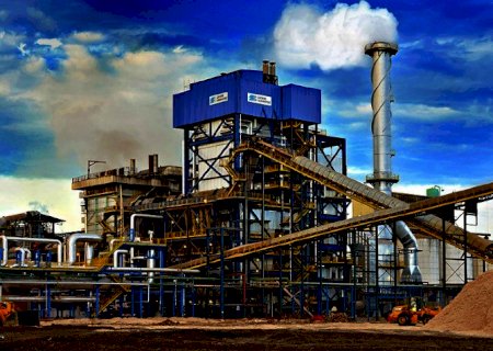 Biosev registra lucro líquido de R$ 485,3 milhões