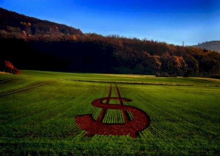 Ministério da Agricultura acompanha negociações sobre tarifa do Mercosul