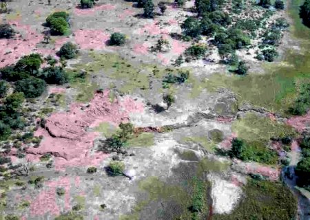 Batayporã: Fazendeiro é multado em R$ 20 mil por erosões em áreas protegidas de sua propriedade