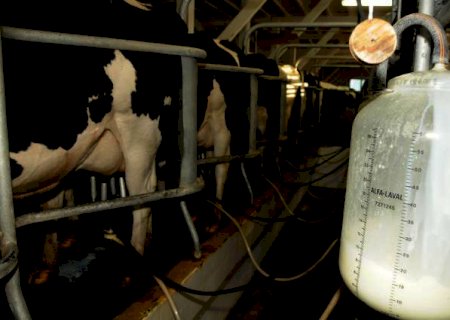 ‘Manter os produtores de leite na profissão é uma questão de soberania nacional’