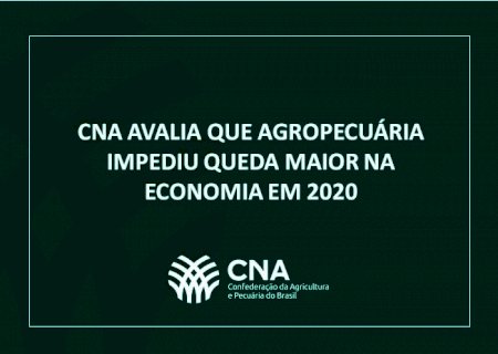 CNA avalia que agropecuária impediu queda maior na economia em 2020