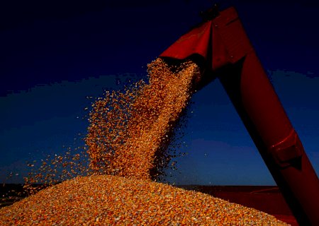 Valor da Produção Agropecuária está previsto em R$ 1,032 trilhão neste ano