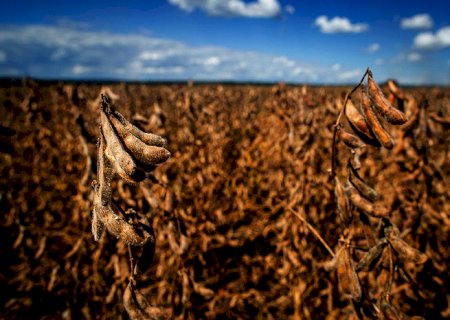 Para CNA, renovação do Convênio ICMS 100 deveria incluir todos os insumos agropecuários