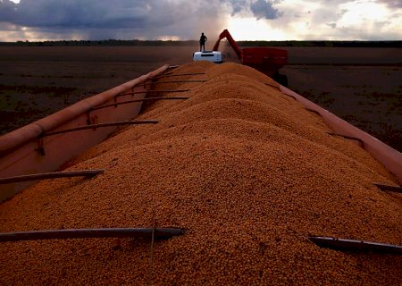 Soja, milho e café batem recordes de preços; veja notícias desta quarta