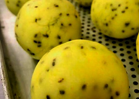 Aprenda a fazer pão de queijo vegano em 20 minutos