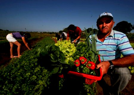 Agricultura familiar: PL de ações emergenciais deve ser votado nesta semana