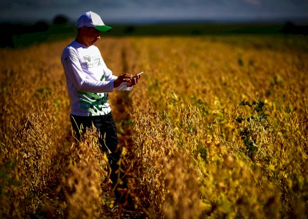 Em live, auditores tiram dúvidas sobre Livro Caixa Digital do Produtor Rural