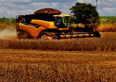 Produtores de MS estão na reta final da colheita da soja e plantio do milho já passa dos 90%