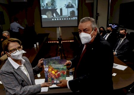 CNA entrega à ministra da Agricultura propostas para o Plano Agrícola e Pecuário 2021/2022