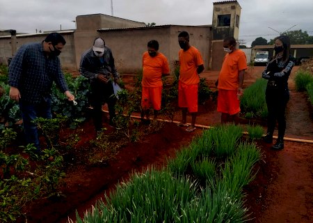 Secretaria de Agricultura de Ivinhema firma parceria com entidades para assistência técnica