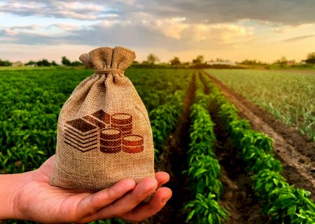 Desembolso do crédito rural atinge R$ 201 bilhões em dez meses