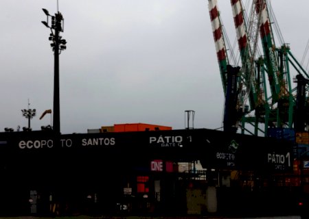 Embarques de açúcar e soja lideram movimento do porto de Santos | Brasilagro