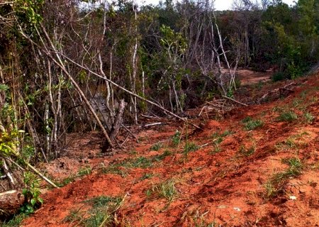 Ambiental multa paranaense por rompimento de represa causando degradação de área protegida de matas ciliares de córrego em Anaurilândia