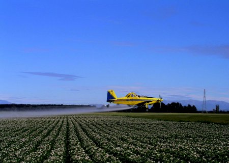 Comissão da Câmara aprova uso de aviões agrícolas no controle de incêndios