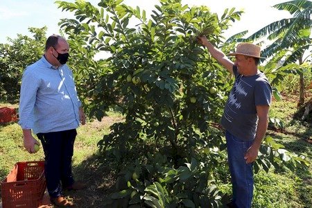 NOVA ANDRADINA-MS: AGRICULTURA FAMILIAR TRAZ SUSTENTO E DIGNIDADE ÀS FAMÍLIAS