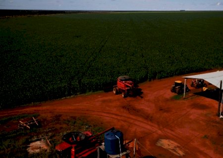 Seca derruba 2ª safra de milho 2020/21 a 65,3 milhões de toneladas
