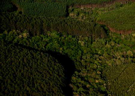 Investimento em microbacias pode ajudar produtor a poupar recursos hídricos