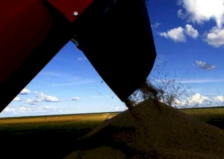 Preços agrícolas começam a ceder no mercado brasileiro