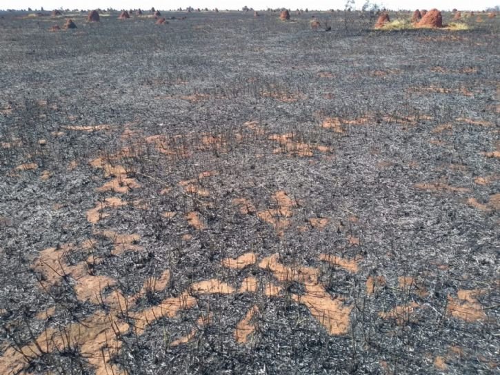 Polícia Militar Ambiental de autua arrendatário em R$ 52 mil por incêndio em pastagem