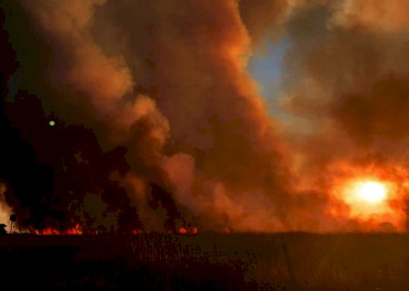 Incêndio de grandes proporções atinge propriedade rural