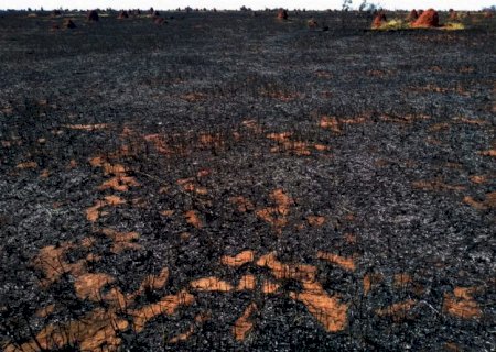 Polícia Militar Ambiental de autua arrendatário em R$ 52 mil por incêndio em pastagem