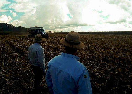 Movimento Todos a Uma Só Voz realiza série de webinars para formar líderes do agro