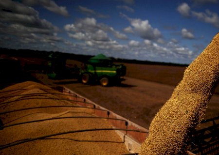 China: Apetite por soja será menor porque demanda por farelo está em baixa