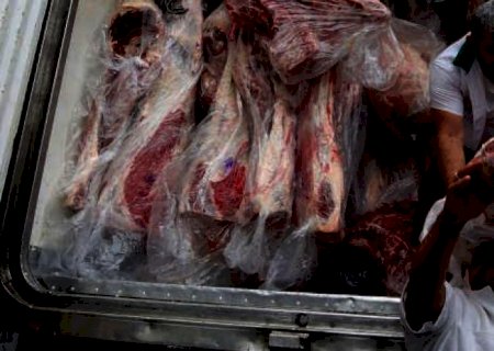 Suínos: Vendas do mercado doméstico avançam com aumento de competitividade