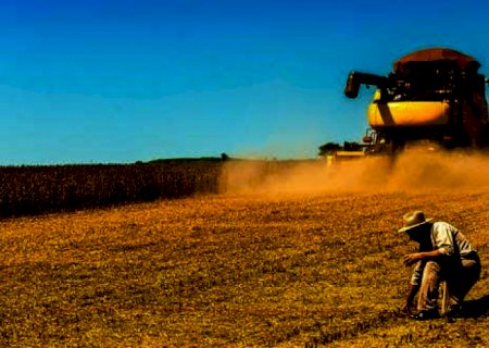 USDA aponta plantio de soja e milho dos EUA abaixo das expectativas