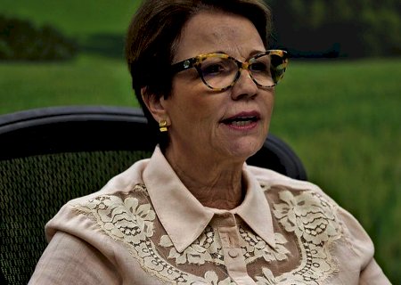 Governo usará COP26 para melhorar imagem da agropecuária brasileira