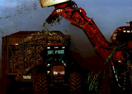 Soja e celulose puxam alta das exportações de MS no 1º semestre de 2021