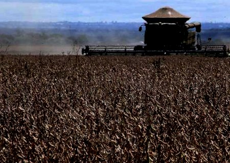 Enquanto a miséria aumenta, MS bate recordes na produção da soja