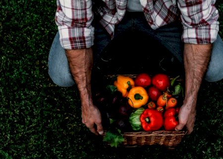 Agricultura orgânica avança, mas produtores cobram recursos e menos burocracia