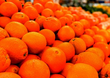 Após geadas estoque de suco de laranja pode cair até 46% na safra 2021/22