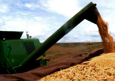 Área plantada com grãos deve crescer 4% em 2021/22, prevê Datagro