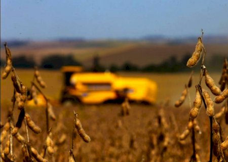 Prorrogação de prazo para agricultor afetado por quebra da safra pagar dívida