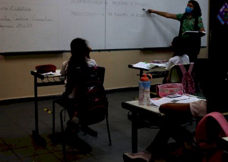 Base curricular deve ajudar a recuperar atrasos na aprendizagem