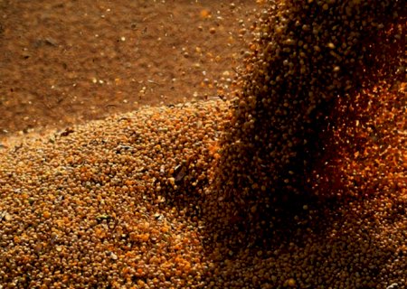 China compra até 6 cargas de soja do Brasil para outubro/novembro