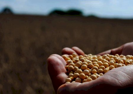Primeiras sacas de nova geração de biotecnologia para soja são entregues em MT