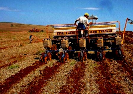 Alta umidade do solo favorece plantio de soja no Brasil em outubro