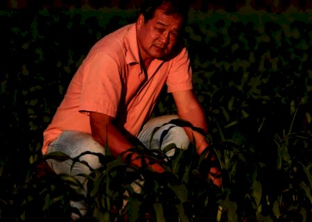 Falta de fertilizantes complica plantio e sinaliza mais inflação em 2022