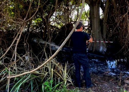 Cauda de helicóptero foi removida e incendiada após queda em MS