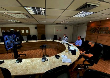 Ministério da Agricultura vai avaliar quais estados do bloco IV podem retirar a vacina da Febre Aftosa