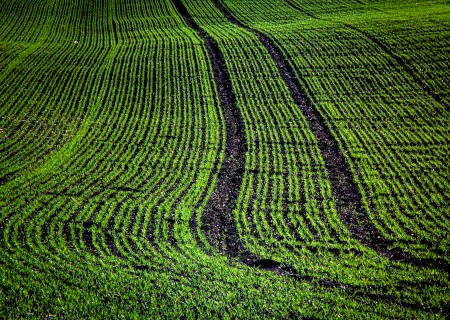 Seguro é de longo prazo, diz gestor sobre investimento em terras agrícolas