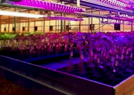 Varixx,Vertigarden e ESALQ se unem para reinventar a agricultura do futuro