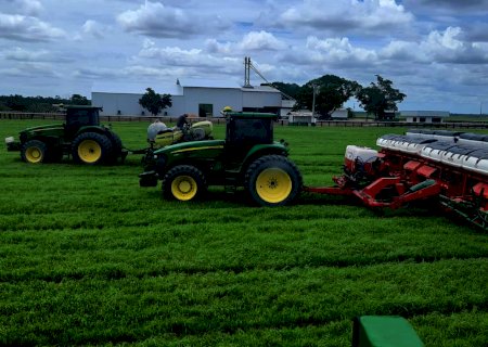 Plantio de soja no Brasil atinge 64,6%; confira a situação de cada estado 