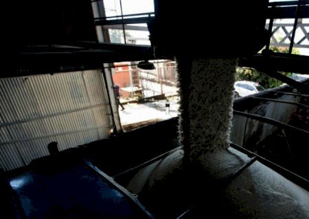 Produção global de açúcar em 2021/22 deve ficar em 181 milhões de t