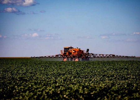 Ministério da Agricultura registra novos defensivos para agricultores
