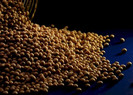 Produtor de soja: fique atento aos fatos importantes da próxima semana